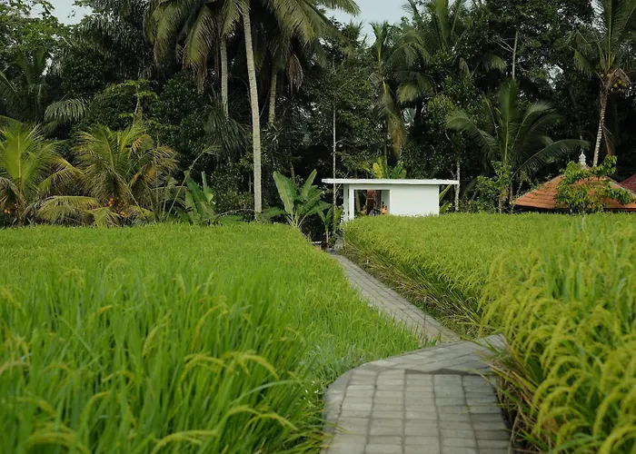 ヴィラ Anantra Bali Eco
